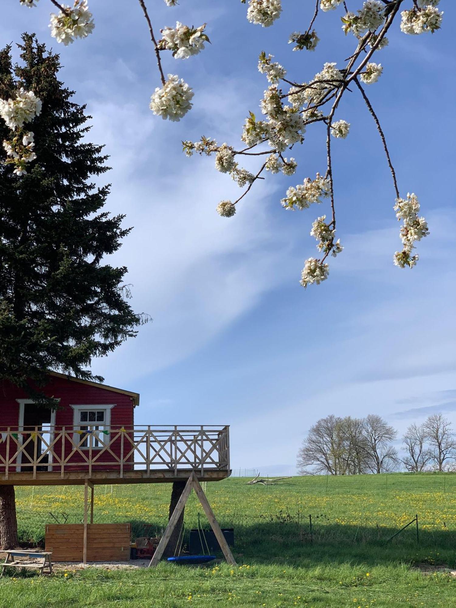Ferienwohnung-Familienidylle-Im-Vogtland-80Qm Neumark  Экстерьер фото